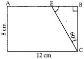 vvi 10th objective question height and distance 2022